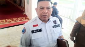 Kepala Badan Pengelolaan Perbatasan Daerah (BP2D) Kepulauan Riau, Doli Boniara | Foto : Zonamu/Ist
