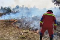 10 Hektare Lahan Terbakar, Damkar Lingga Bergerak | Foto : Zonamu/Ist