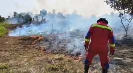 10 Hektare Lahan Terbakar, Damkar Lingga Bergerak | Foto : Zonamu/Ist