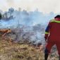 10 Hektare Lahan Terbakar, Damkar Lingga Bergerak | Foto : Zonamu/Ist