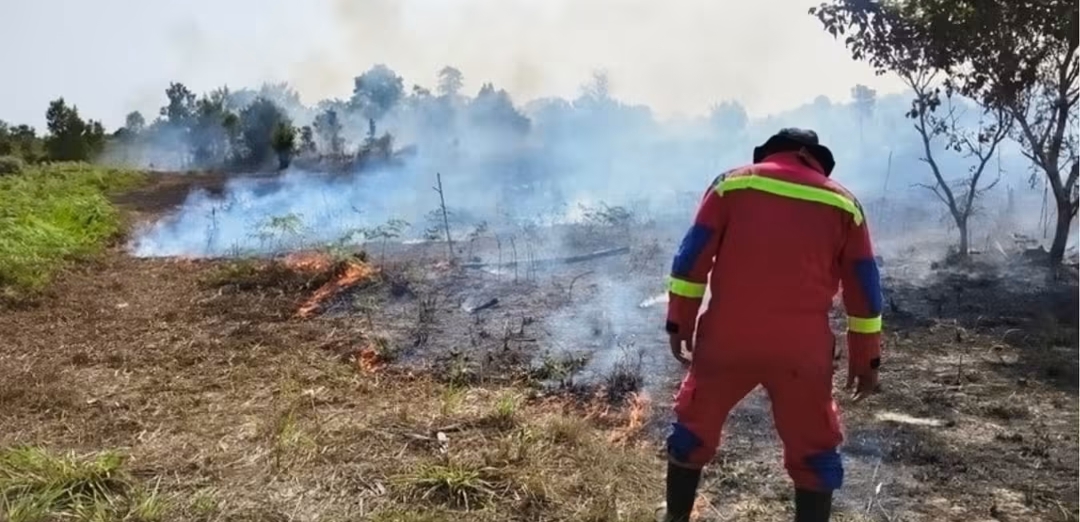10 Hektare Lahan Terbakar, Damkar Lingga Bergerak | Foto : Zonamu/Ist