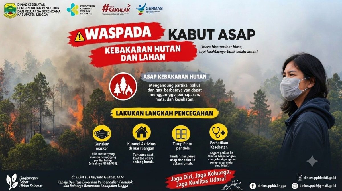 Kabut Asap Dua Pekan, Dinkes Lingga Ingatkan Warga | Foto : Zonamu/Ist