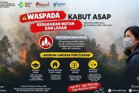 Kabut Asap Dua Pekan, Dinkes Lingga Ingatkan Warga | Foto : Zonamu/Ist