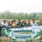 Kelompok Tani Bina Tani Tailong di Pulau Kundur, Karimun, sukses menggelar panen perdana 5.000 batang nanas berkualitas premium dengan bobot mencapai 2 kg per buah | Foto: Zonamu/Humas PT Timah