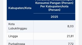 PoU Melonjak, Lingga Jadi Daerah Paling Rawan Pangan Kepri  | Foto : Zonamu/Ist
