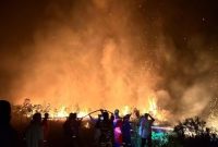 Potret Karhutla di wilayah Desa Setawa Singkep Barat, Lingga | Foto : Zonamu/Ist