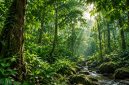 Ilustrasi hutan | Foto : AI