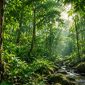 Ilustrasi hutan | Foto : AI