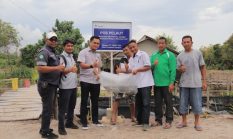Menyalakan Ekonomi Pesisir, Langkah Berkelanjutan PT Timah Memberdayakan Warga Sawang Laut