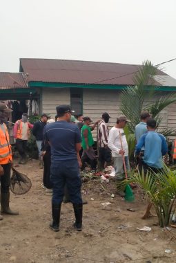 Ikan Mati di Kolong Dabo Lama, Lurah dan Warga Gelar Gotong Royong