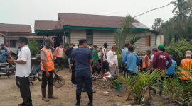 Ikan Mati di Kolong Dabo Lama, Lurah dan Warga Gelar Gotong Royong | Foto : Zonamu/Ist